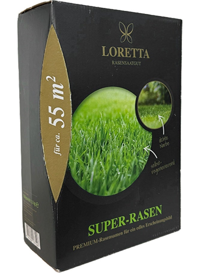 Loretta Super Lawn MSV Grass Seeds 1.1kg | Premium German Lawn Seed Mix for Dense Green Turf | Fast Germination & Heat Resistant - Image 2